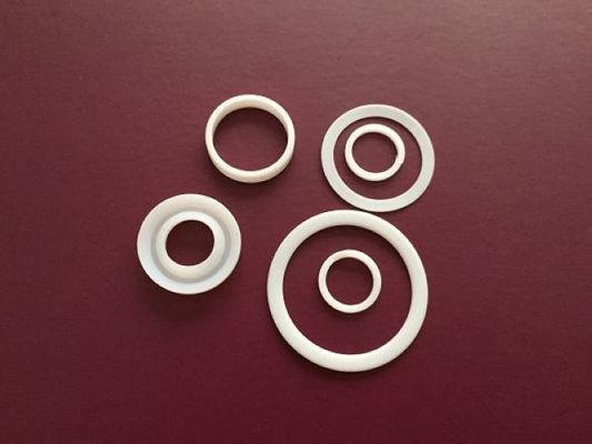 अच्छा स्नेहन PTFE रिंग गैसकेट
